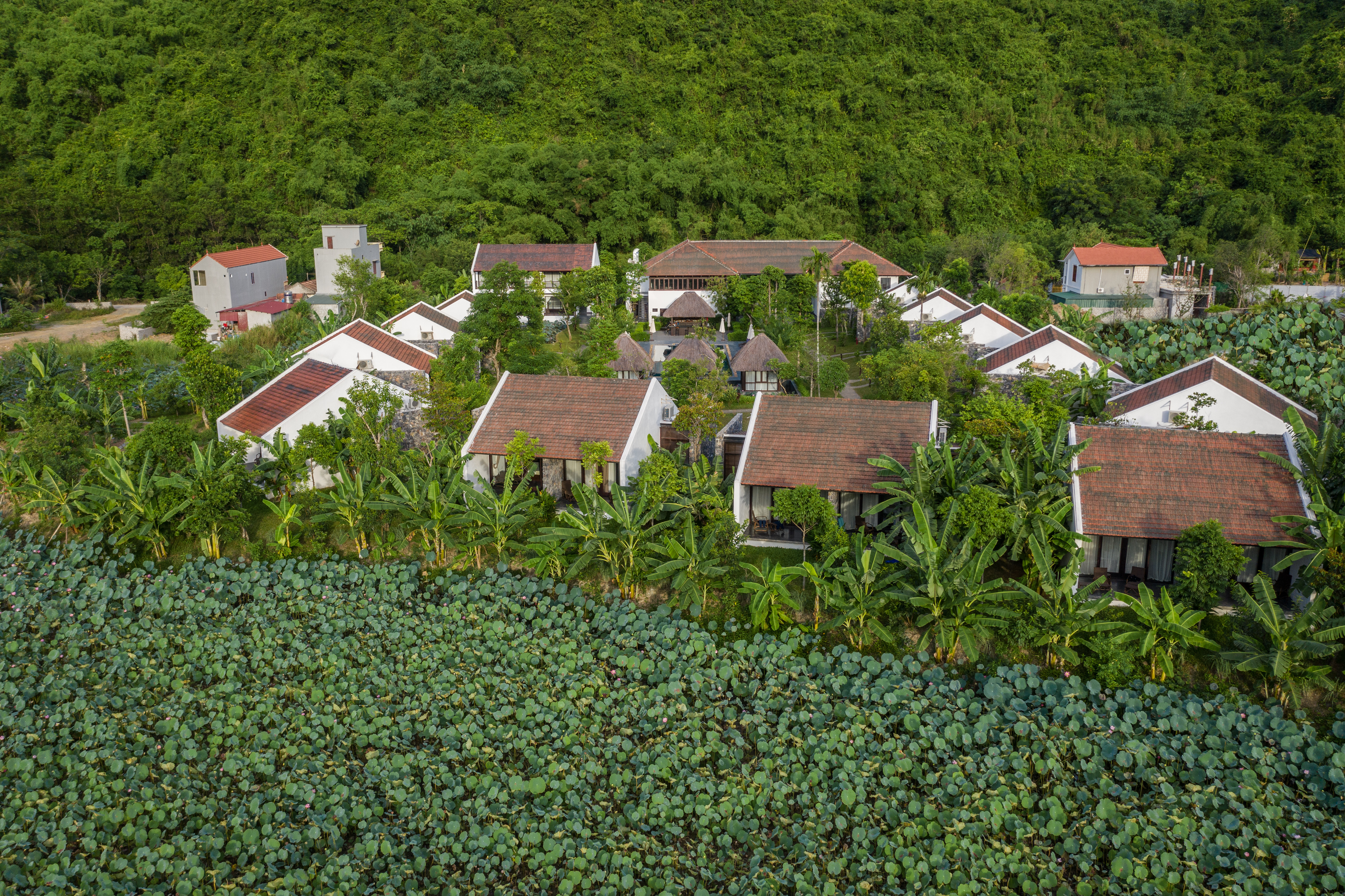 villas & rooms aravinda resort